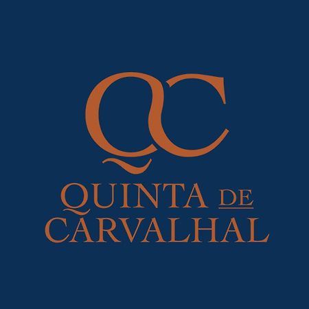 Вилла Quinta De Carvalhal - Casa Da Vinha Гимарайнш Экстерьер фото